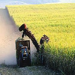 Baixar COLHEITA MECANIZADA DE CANA DE AÇÚCAR CONHECIMENTOS BÁSICOS pdf, epub, eBook
