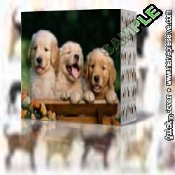 Baixar Manual de Instrução : Para resolver problemas de Carrapatos, Pulgas, Sarna pdf, epub, eBook