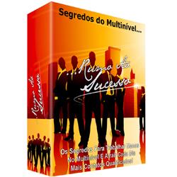 Baixar Rumo Ao Sucesso pdf, epub, eBook