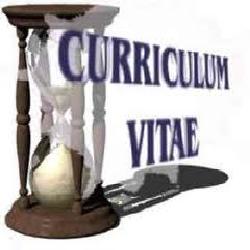 Baixar Curriculum Vários modelos pdf, epub, eBook