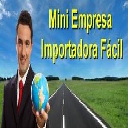 Baixar MANUAL MINI IMPORTADORA FACIL pdf, epub, eBook