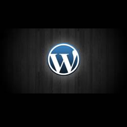 Baixar Como criar um site gratis com WordPress pdf, epub, eBook