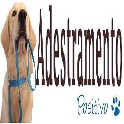 Baixar Adestramento de Cães pdf, epub, eBook