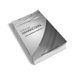 Baixar O Ciclo Do Marketing – Uma abordagem evolutiva pdf, epub, eBook