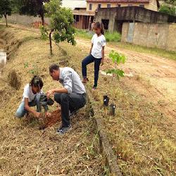 Baixar Manual Prático para Secretários de Meio Ambiente pdf, epub, eBook