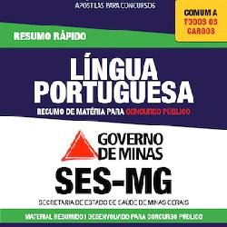 Baixar SES MG – Português – Resumo Rápido pdf, epub, eBook