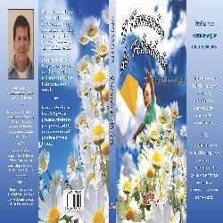 Baixar O TAMANHO DA FELICIDADE pdf, epub, eBook