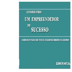 Baixar CONSTRUINDO UM EMPREENDEDOR DE SUCESSO pdf, epub, eBook