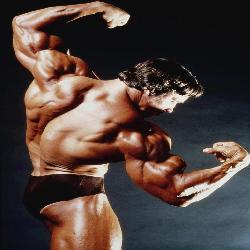 Baixar Musculação, Alimentação e Suplementos pdf, epub, eBook