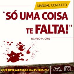 Baixar Só Uma Coisa Te Falta pdf, epub, eBook