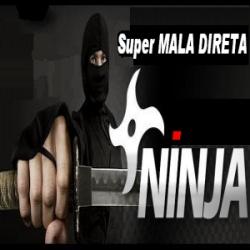 Baixar Super MALA DIRETA NINJA! Curso de eMail Marketing Profissional. pdf, epub, eBook