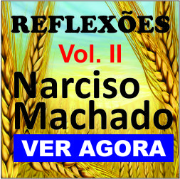 Baixar Reflexões de Narciso Machado volume II pdf, epub, eBook