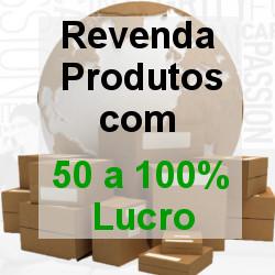 Baixar Revenda Produtos com 50 a 100% Lucro pdf, epub, eBook