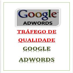 Baixar Tráfego de Qualidade Google Adwords pdf, epub, eBook