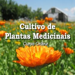 Baixar Cultivo de Plantas Medicinais pdf, epub, eBook