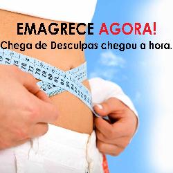 Baixar Emagrece Agora pdf, epub, eBook