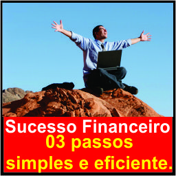 Baixar Sucesso Financeiro em 03 Passos Simples e Eficiente pdf, epub, eBook