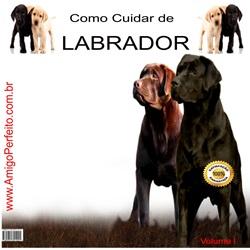 Baixar Como Cuidar de Labrador pdf, epub, eBook