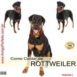 Baixar Como Cuidar de Rottweiler pdf, epub, eBook