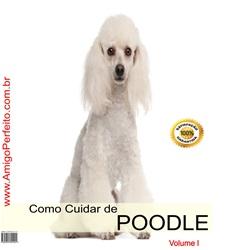 Baixar Como Cuidar de Poodle pdf, epub, eBook