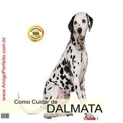 Baixar Como Cuidar de Dálmata pdf, epub, eBook