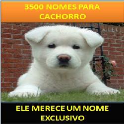 Baixar 3500 Nomes Para Cachorro pdf, epub, eBook