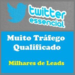 Baixar Twitter Essencial pdf, epub, eBook