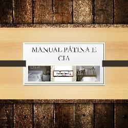 Baixar MANUAL PÁTINA E CIA pdf, epub, eBook