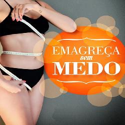 Baixar Emagreça Sem Medo pdf, epub, eBook
