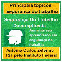 Baixar Segurança Do Trabalho Descomplicada pdf, epub, eBook