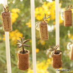 Baixar Jardim na Rolha pdf, epub, eBook