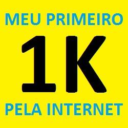 Baixar MEU PRIMEIRO 1K PELA INTERNET pdf, epub, eBook