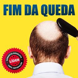 Baixar Fim da Queda pdf, epub, eBook