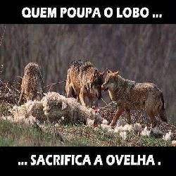 Baixar AS OVELHAS NO APRISCO pdf, epub, eBook
