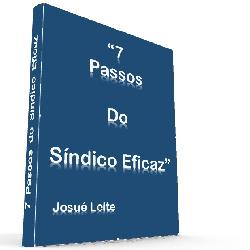 Baixar 7 Passos do Síndico Eficaz pdf, epub, eBook