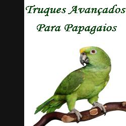 Baixar Truques avançados para papagaio pdf, epub, eBook