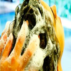 Baixar A Verdade Sobre Seu Cabelo – E Book pdf, epub, eBook