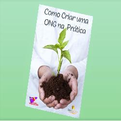 Baixar Livro Como Criar uma Ong na Prática pdf, epub, eBook