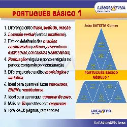 Baixar PORTUGUÊS BÁSICO: MÓDULO 1 (orações coordenadas) pdf, epub, eBook