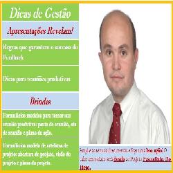 Baixar Dicas de Gestão pdf, epub, eBook