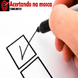 Baixar PMBOK V5 – CURSO PARA CONCURSOS DE TI pdf, epub, eBook