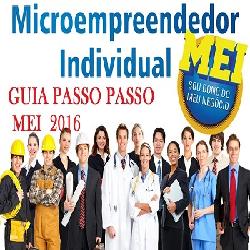 Baixar GUIA Passo á Passo MEI 2016 pdf, epub, eBook