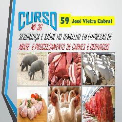 Baixar NR-36-SST em Abate e Processamento de Carnes e Derivados pdf, epub, eBook