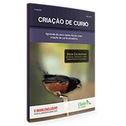 Baixar Criação de Curió pdf, epub, eBook