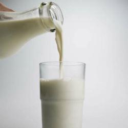 Baixar Leite O ELIXIR DA VIDA pdf, epub, eBook