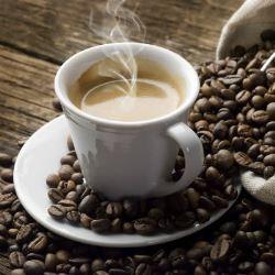 Baixar Café o Ouro Verde pdf, epub, eBook