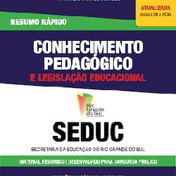 Baixar Apostila SEDUC-RS – Conhecimento Pedagógico e Legislação Educacional – Resumo Rápido pdf, epub, eBook