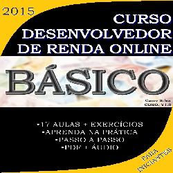Baixar Curso Desenvolvedor de Renda Online: Básico pdf, epub, eBook