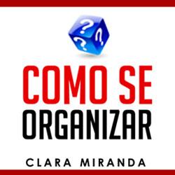 Baixar Como Se Organizar pdf, epub, eBook