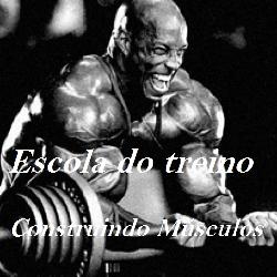 Baixar Construindo Músculos pdf, epub, eBook